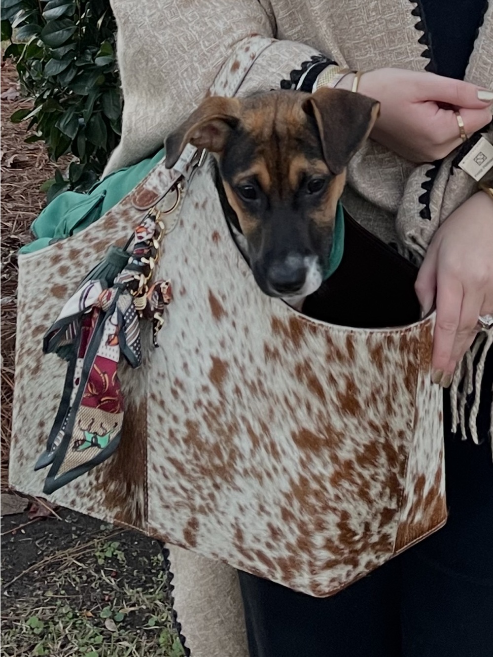 Pet Carrier Tote Bag in Brown & White (GOAT Hair)
